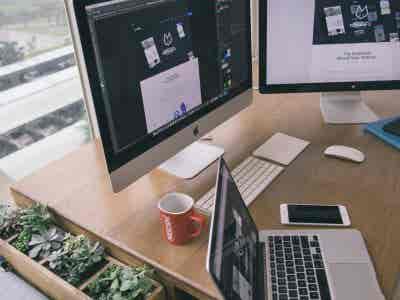 pexels-tranmautritam-225502